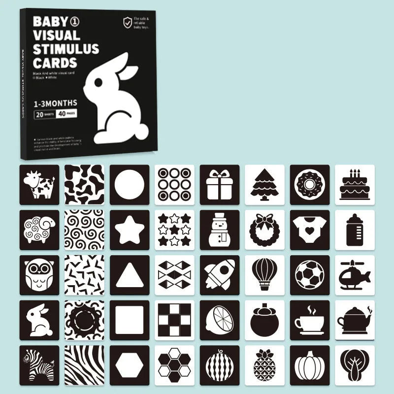 VisionFocus Montessori Cards