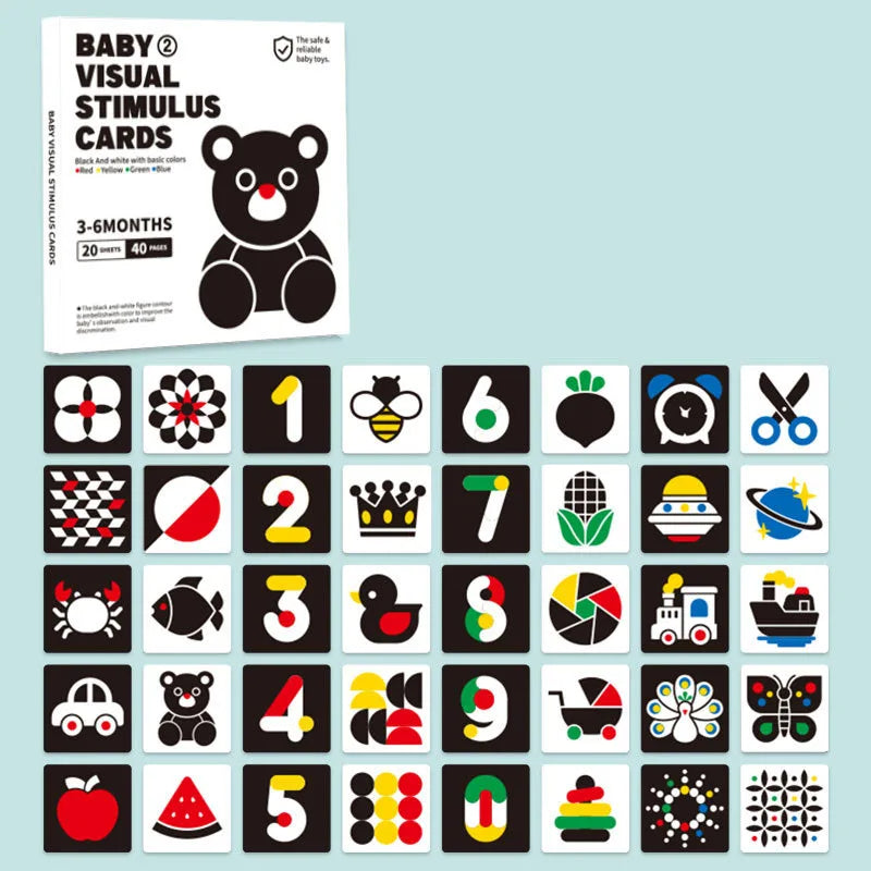 VisionFocus Montessori Cards